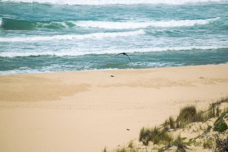 0 Bedroom Property for Sale in Moquini Western Cape